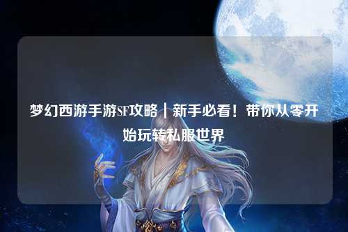梦幻西游手游SF攻略｜新手必看！带你从零开始玩转私服世界
