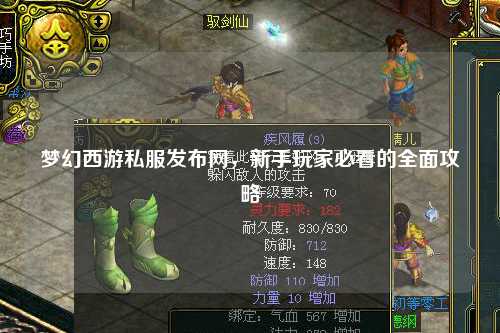梦幻西游私服发布网，新手玩家必看的全面攻略